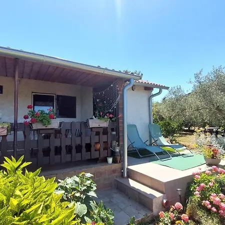 Casa de Férias House *
