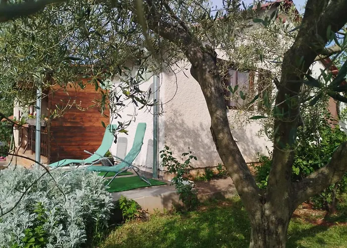 Casa de Férias House *